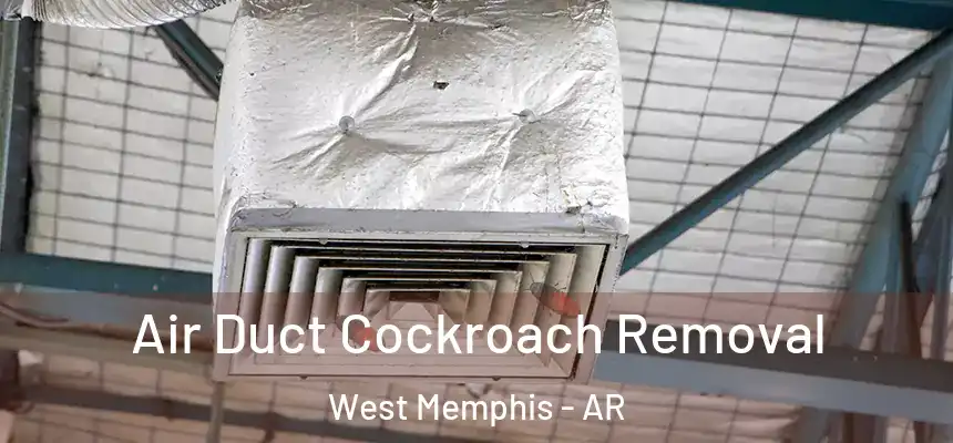  Air Duct Cockroach Removal West Memphis - AR