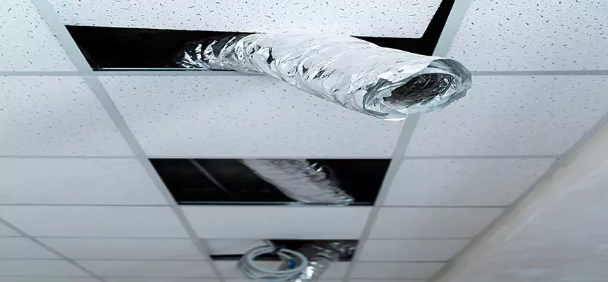 Our Air Duct Pet Hair Removal Services in West Memphis, AR