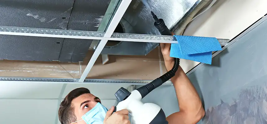 Our Air Duct Rodent Removal Services in West Memphis, AR