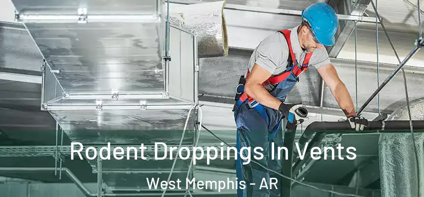  Rodent Droppings In Vents West Memphis - AR