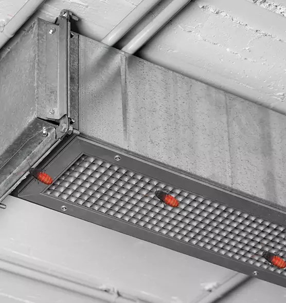 About Air Duct Cockroach Removal in West Memphis, AR