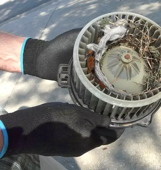 About Air Duct Rat Removal in West Memphis, AR