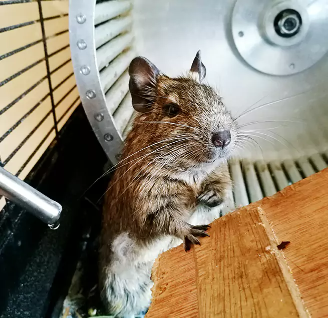 Why Homeowners & Businesses Trust Us West Memphis, AR